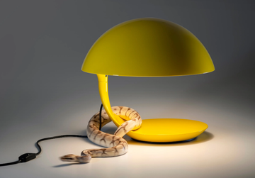 COBRA-100-Martinelli-Luce-611642-rel161035a5.jpg